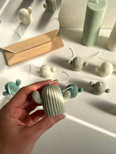 Load image into Gallery viewer, gift box - cactuskaarsjes