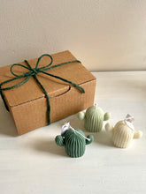 Load image into Gallery viewer, gift box - cactuskaarsjes