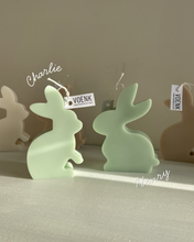 Afbeelding in Gallery-weergave laden, Easter bunny candle