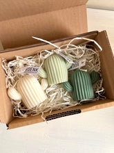 Load image into Gallery viewer, gift box - cactuskaarsjes