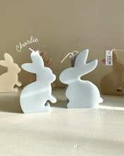 Afbeelding in Gallery-weergave laden, Easter bunny candle
