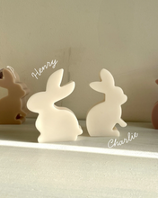 Afbeelding in Gallery-weergave laden, Easter bunny candle
