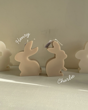 Afbeelding in Gallery-weergave laden, Easter bunny candle
